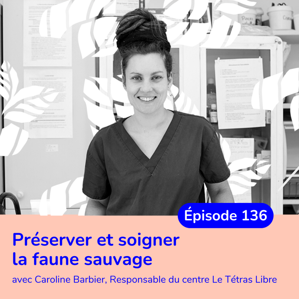Visuel de l'épisode 136 de Basilic podcast en compagnie de Caroline Barbier, responsable du centre Le Tétras Libre dans les pays de Savoie  qui préserve et soigne la faune sauvage : oiseaux et animaux sauvages.