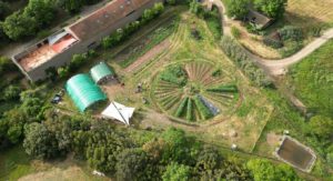 Jardin partagé à Hyères - agroforesterie - permaculture 